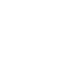 Özeller Servis & Perfochip logosu