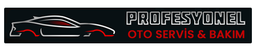 Profesyonel Oto Tamir Onarim ve Bakim Servisi logosu